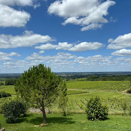 Perche Aux Milieux Des Vignes Colombier (Dordogne)