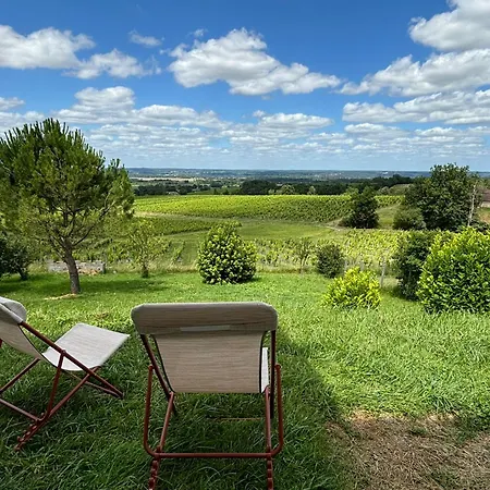 Perche Aux Milieux Des Vignes Colombier (Dordogne)